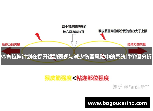 体育拉伸计划在提升运动表现与减少伤害风险中的系统性价值分析